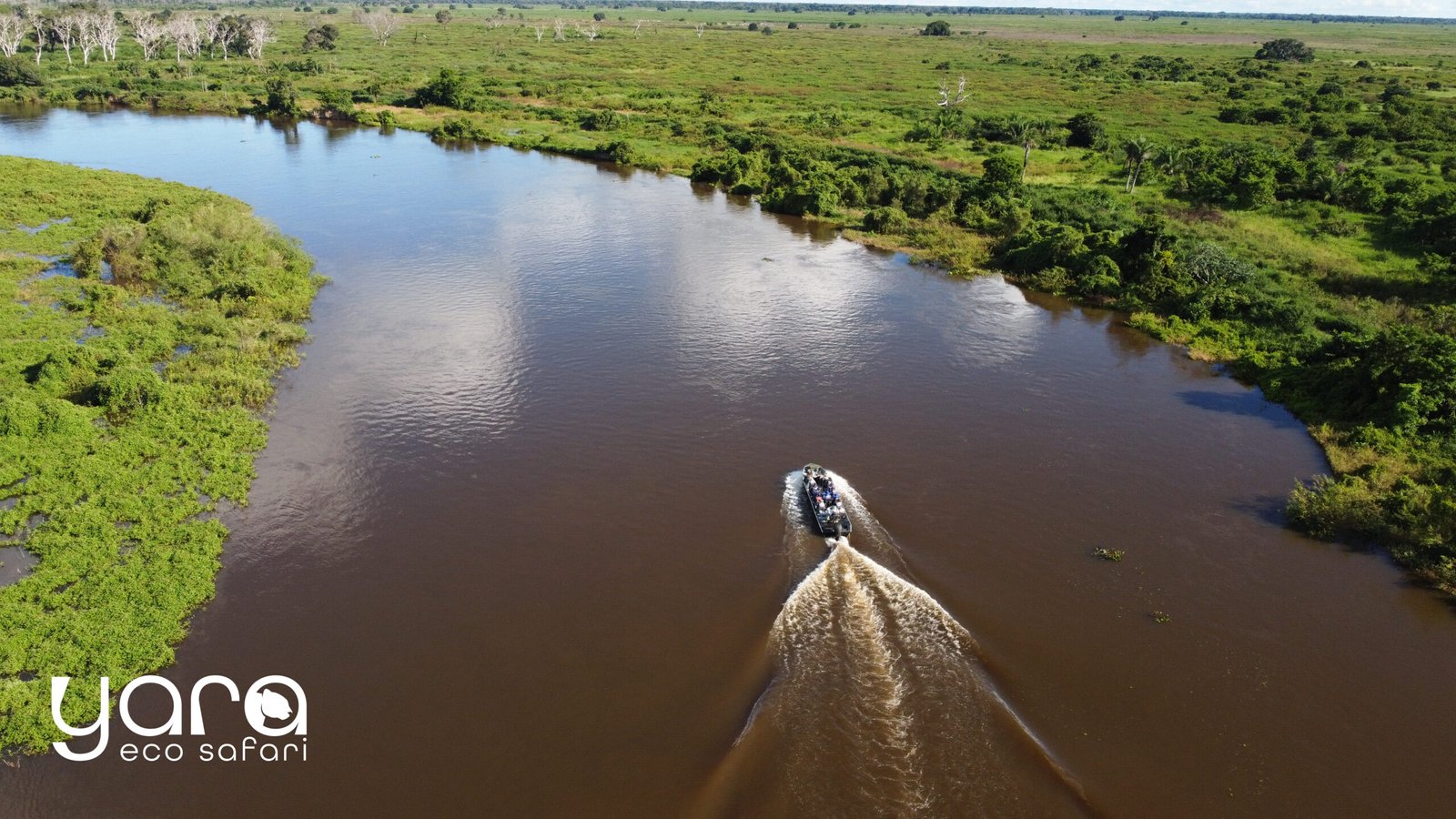 Vista panorùmica do Pantanal com åreas alagadas e vegetação exuberante