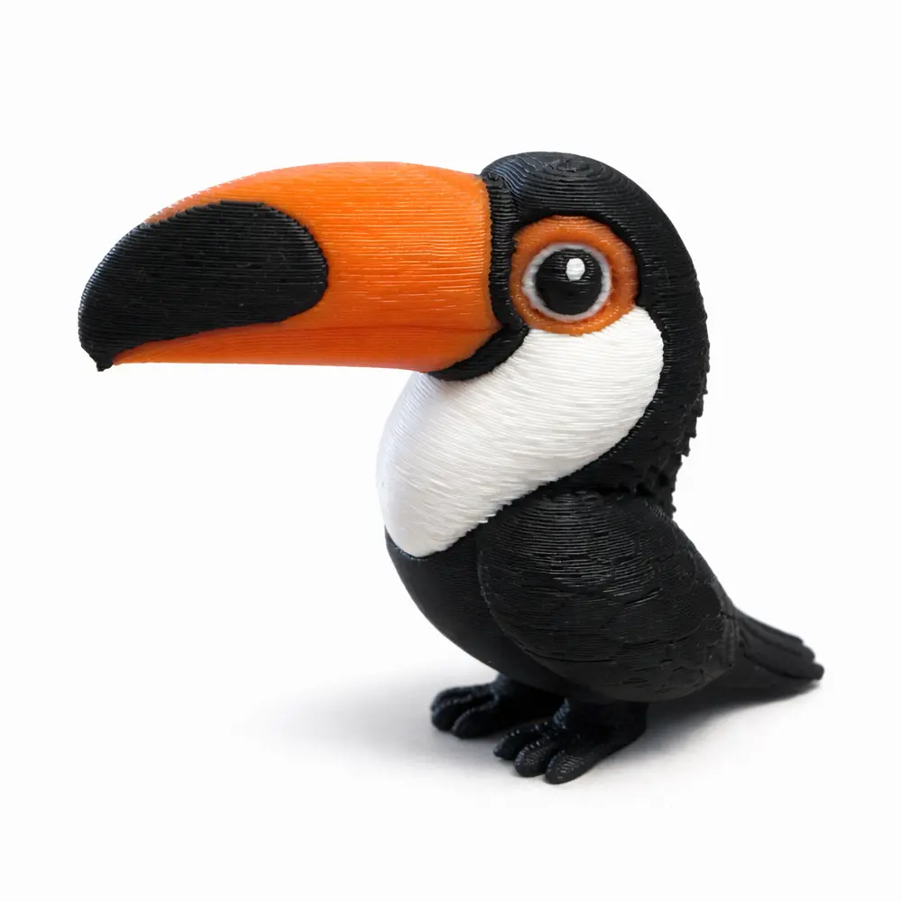 Toucan Pantanino