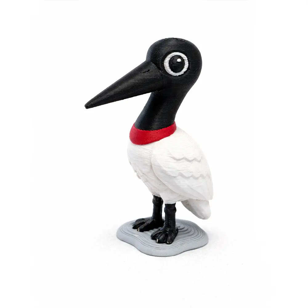 Jabiru Pantanino