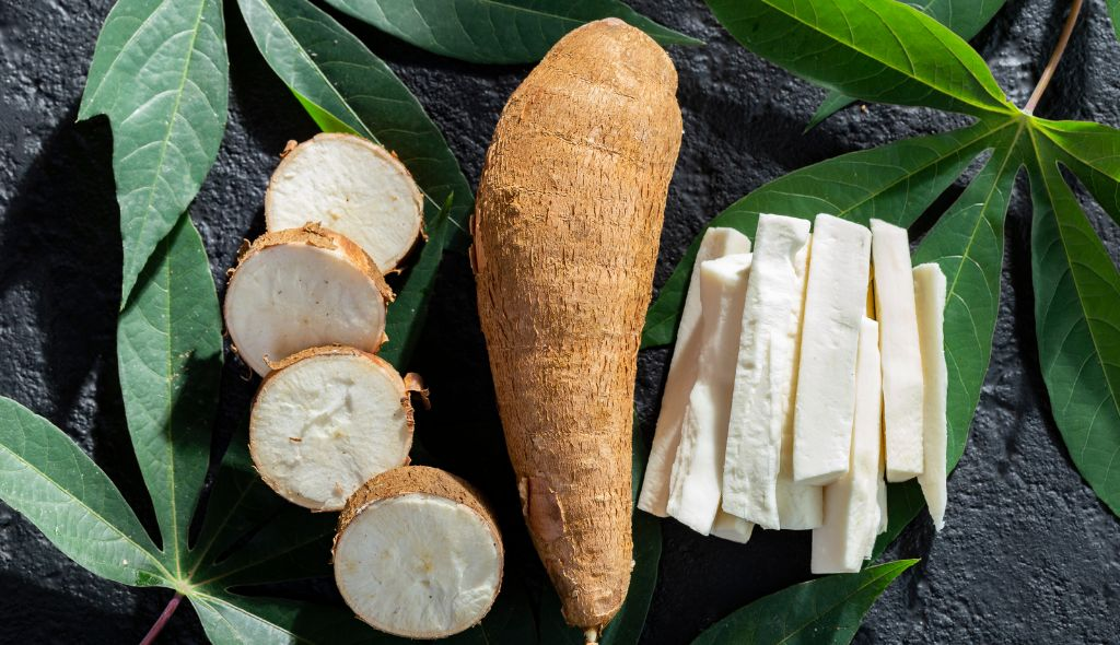 Raiz de mandioca inteira, rodelas e palitos descascados sobre folhas de mandioca em fundo escuro.