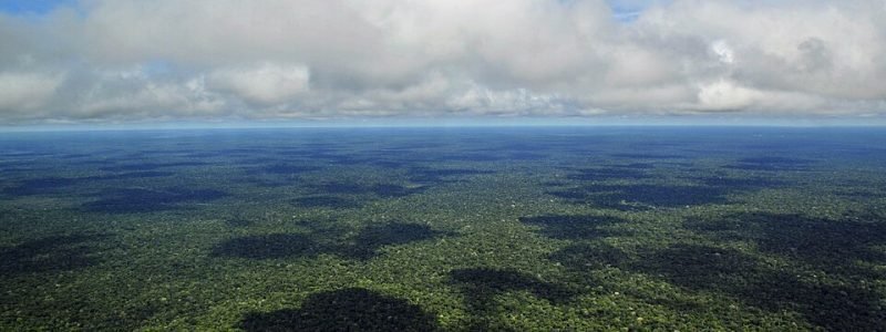 Vista panorâmica aérea da Floresta Amazônica mostrando a imensidão da mata verde sob um céu com nuvens