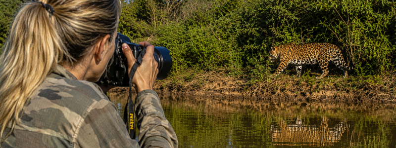 Fotógrafa com câmera profissional fotografando uma onça-pintada às margens de um rio no Pantanal