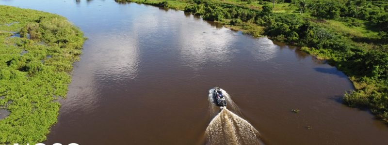 Vista panorâmica do Pantanal com áreas alagadas e vegetação exuberante