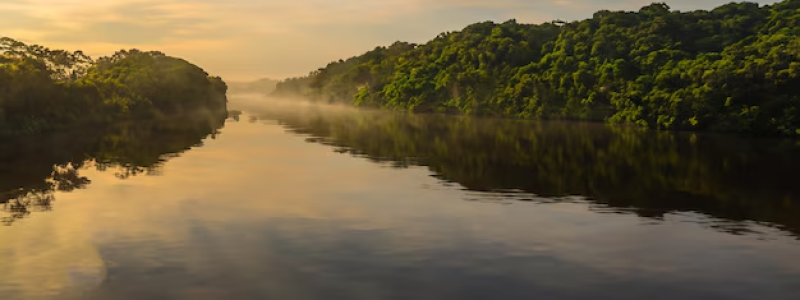 Rio Amazonas ao amanhecer com névoa leve sobre a água e floresta tropical densa nas margens