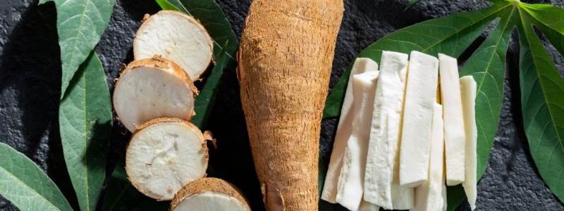 Raiz de mandioca inteira, rodelas e palitos descascados sobre folhas de mandioca em fundo escuro.