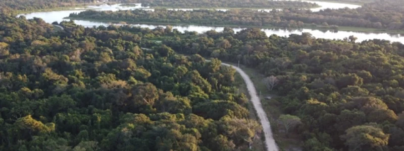 pantanal